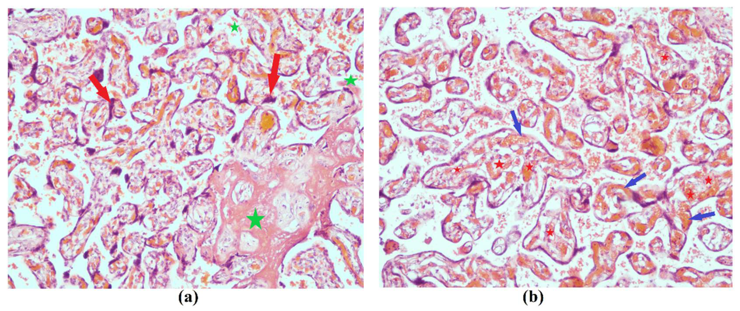 Covid 02 00061 g003 Covid 02 00061 g003