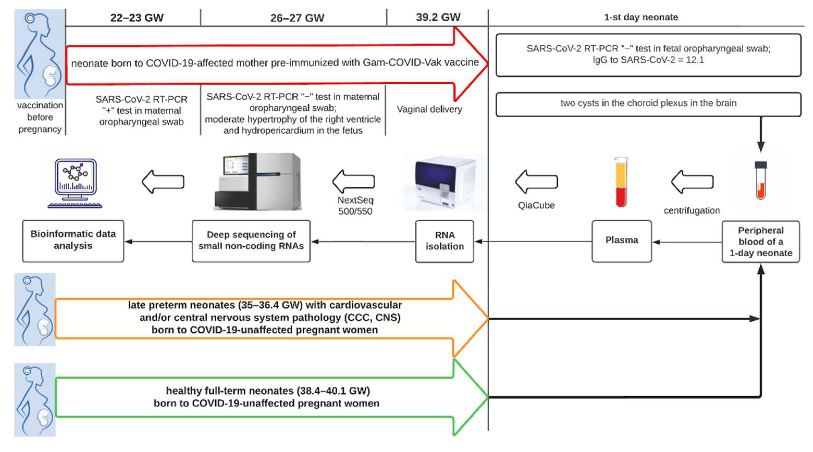 Covid 02 00061 g004 Covid 02 00061 g004