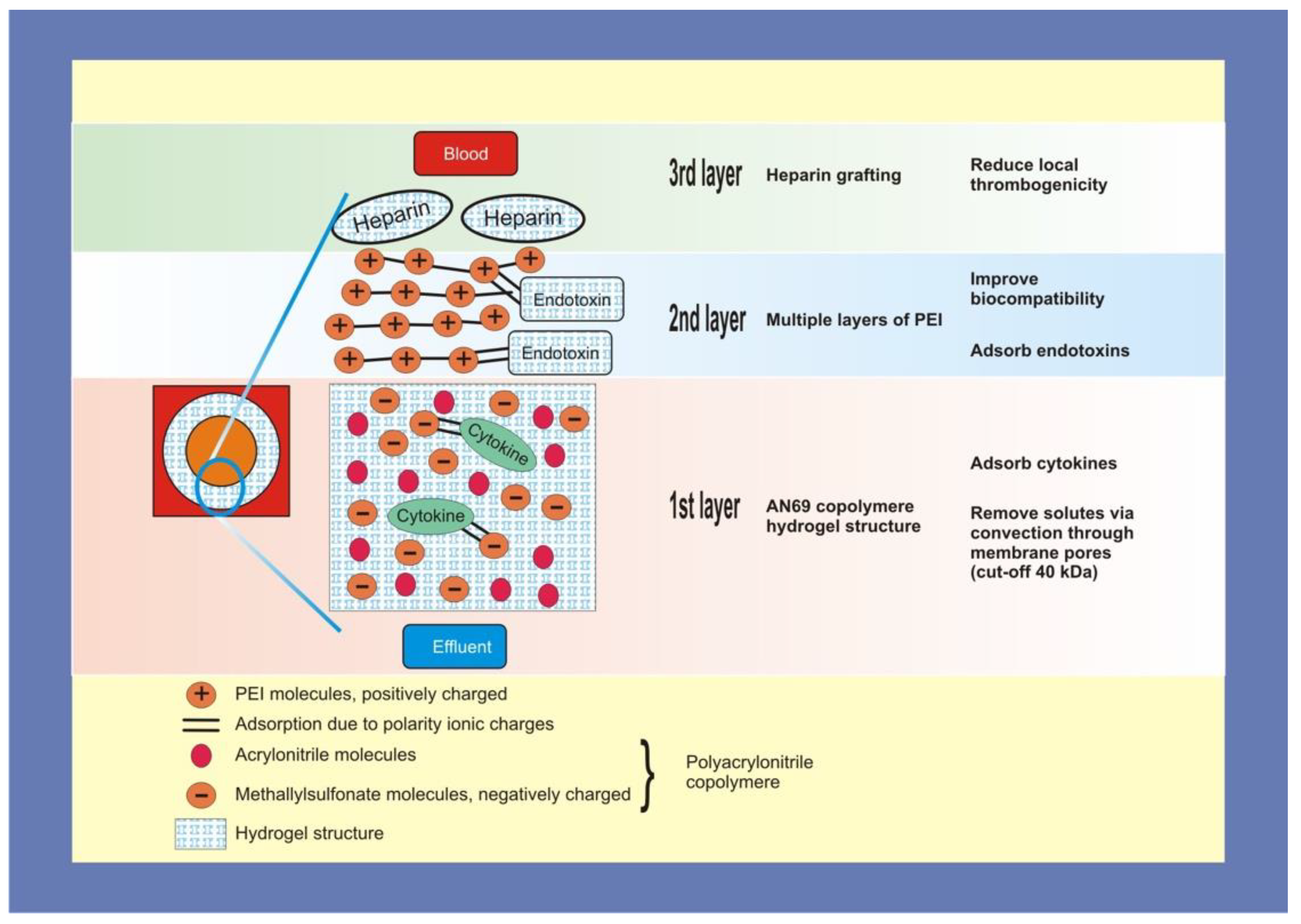 Covid 02 00088 g002 Covid 02 00088 g002