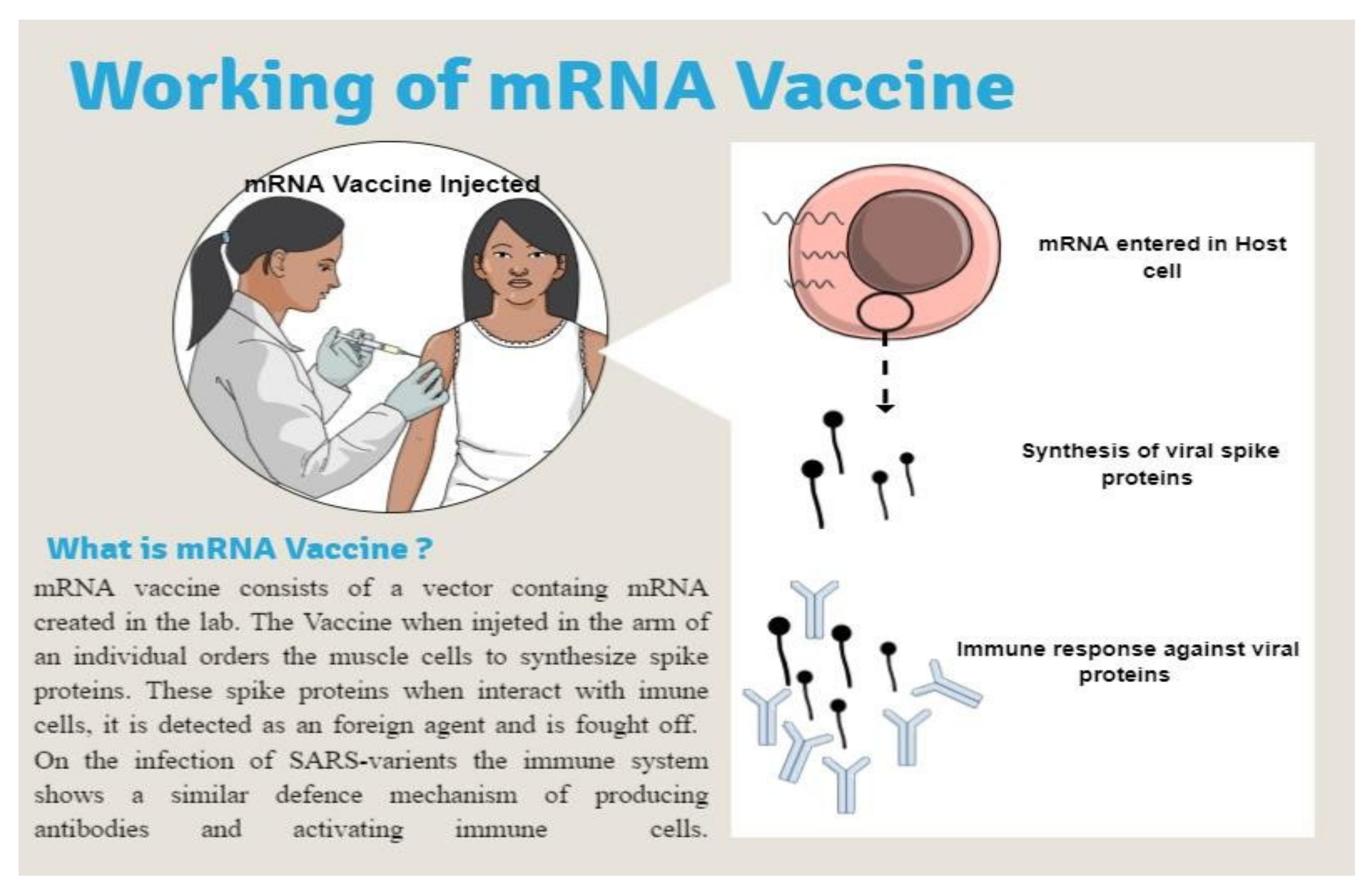 Covid 02 00105 g006 550