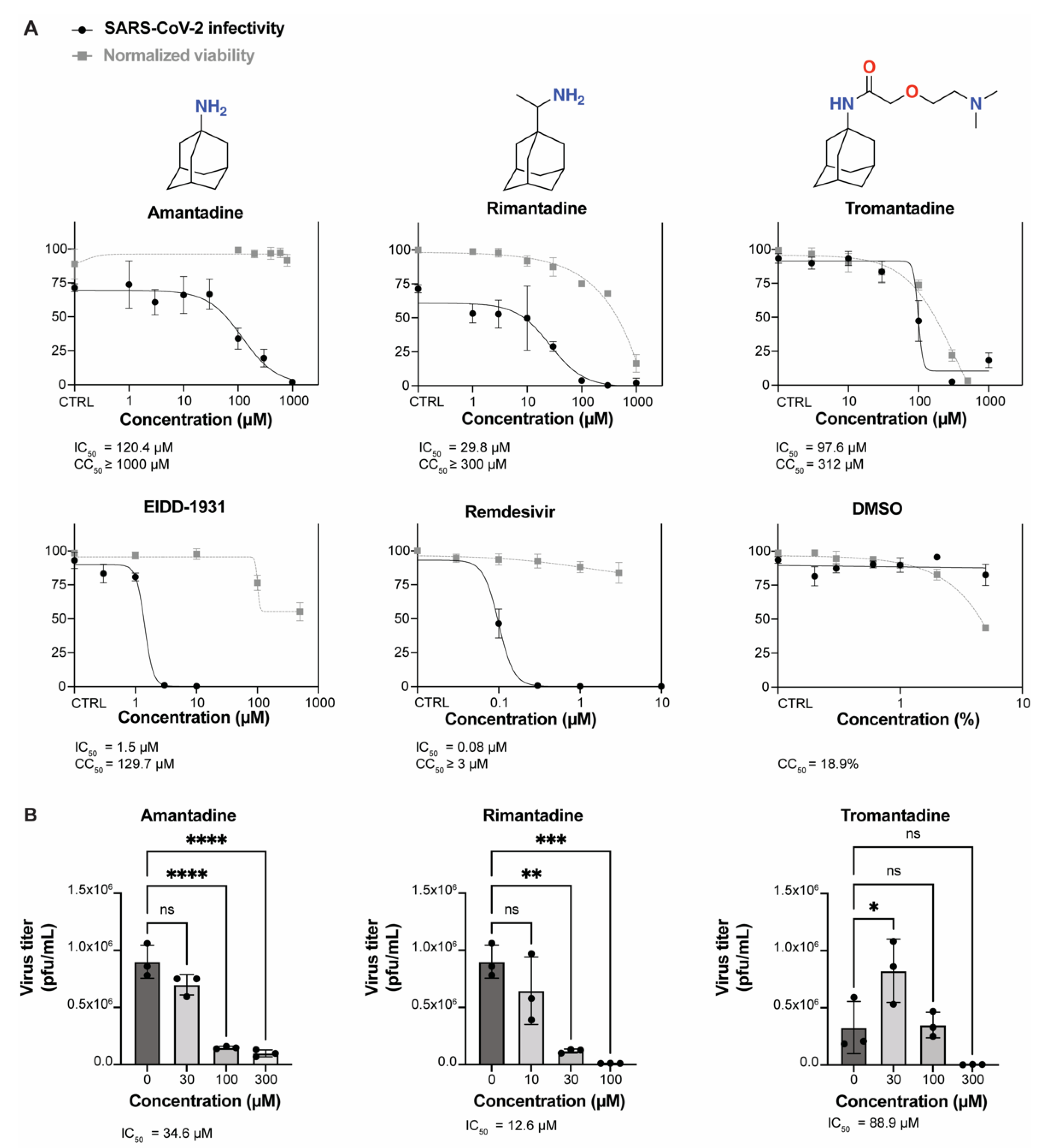 Anti-SARS-CoV-2 Activity of Adamantanes In Vitro and in Animal Models ...