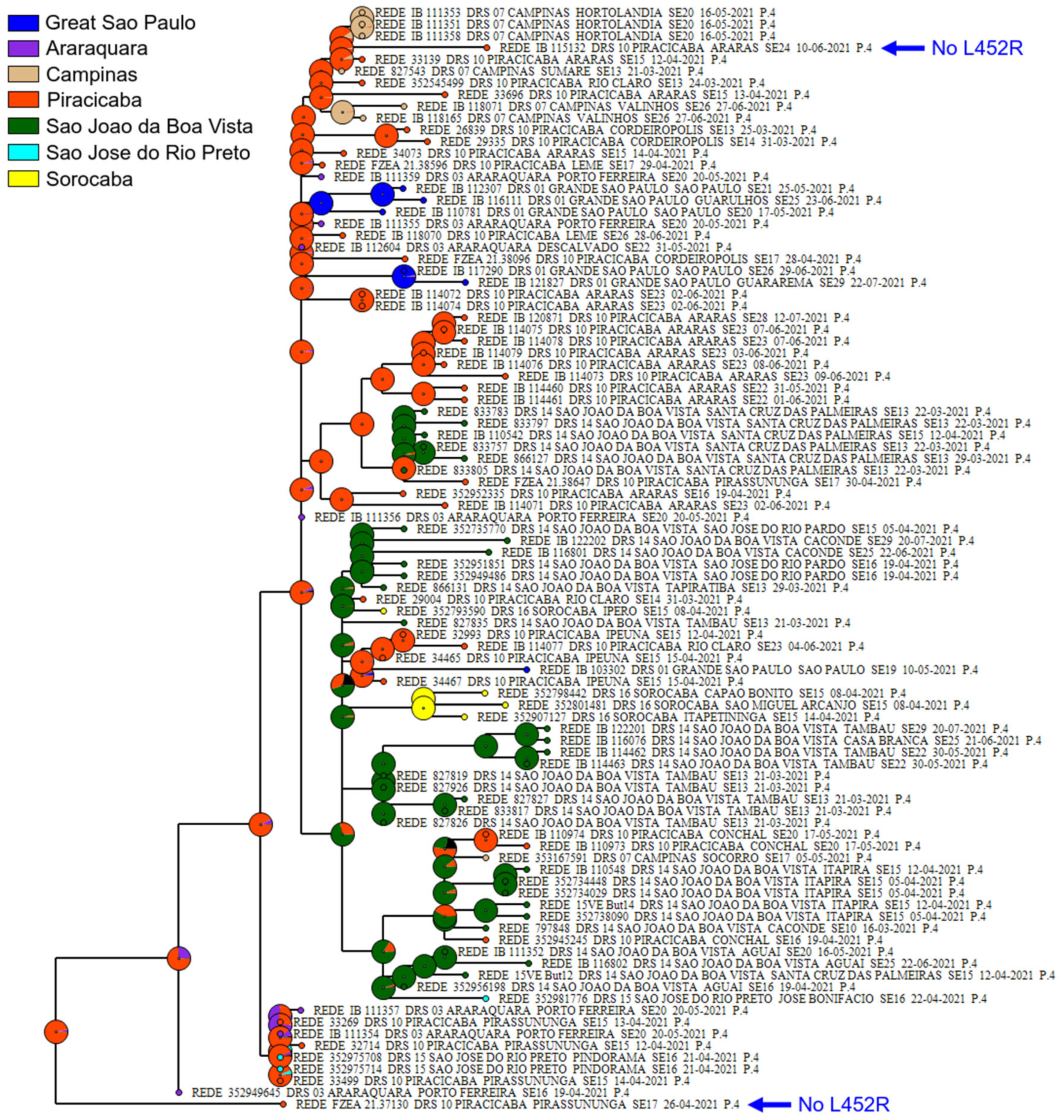 Covid 02 00127 g002 Covid 02 00127 g002