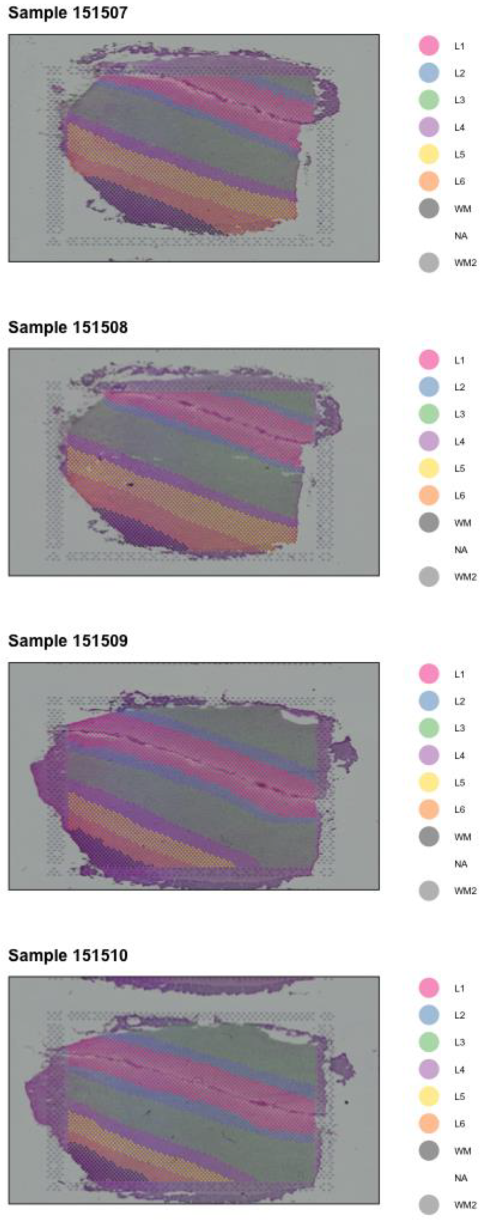 Covid 03 00005 g001 Covid 03 00005 g001