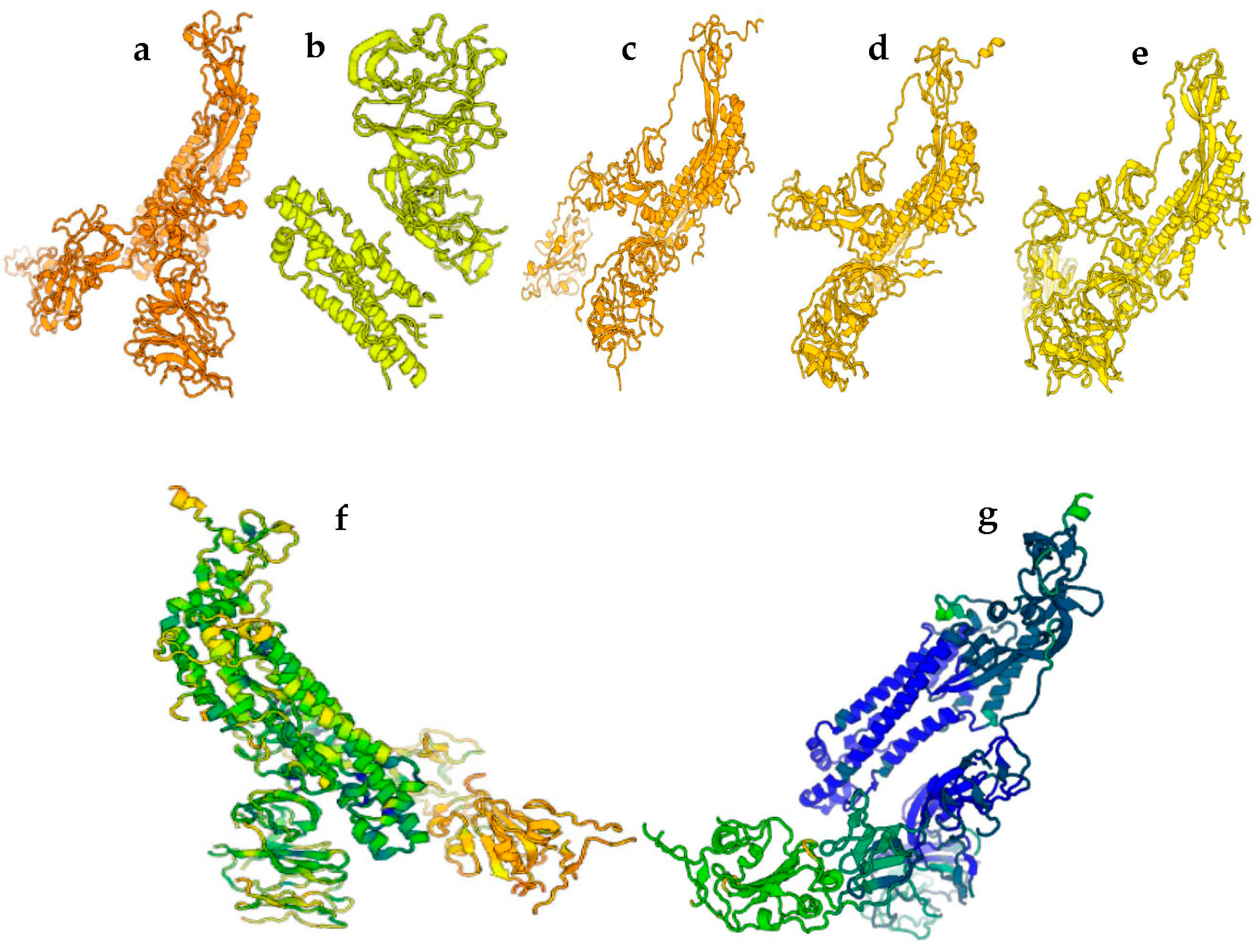 Covid 03 00034 g004 Covid 03 00034 g004