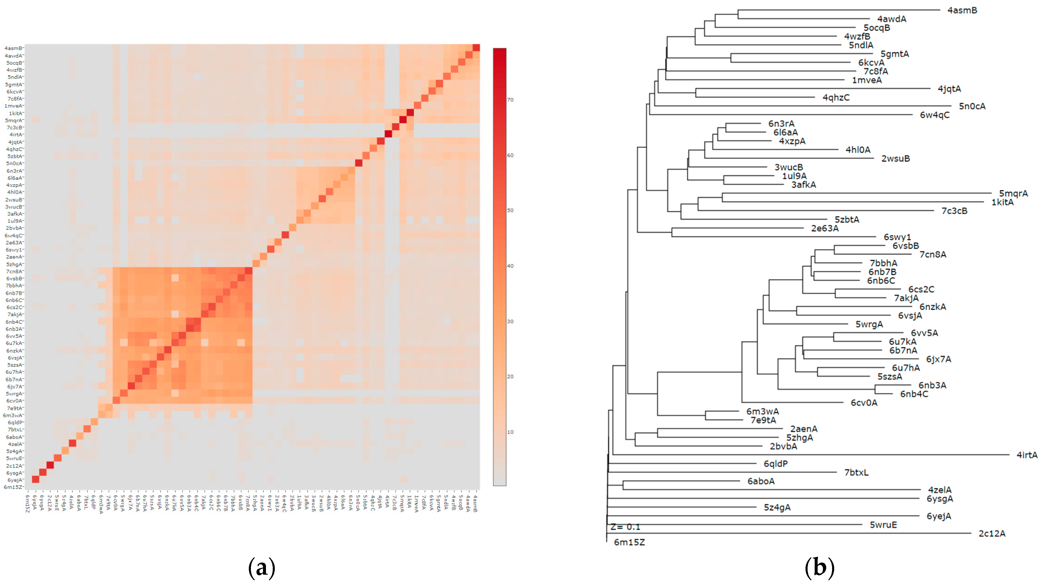 Covid 03 00034 g005 Covid 03 00034 g005