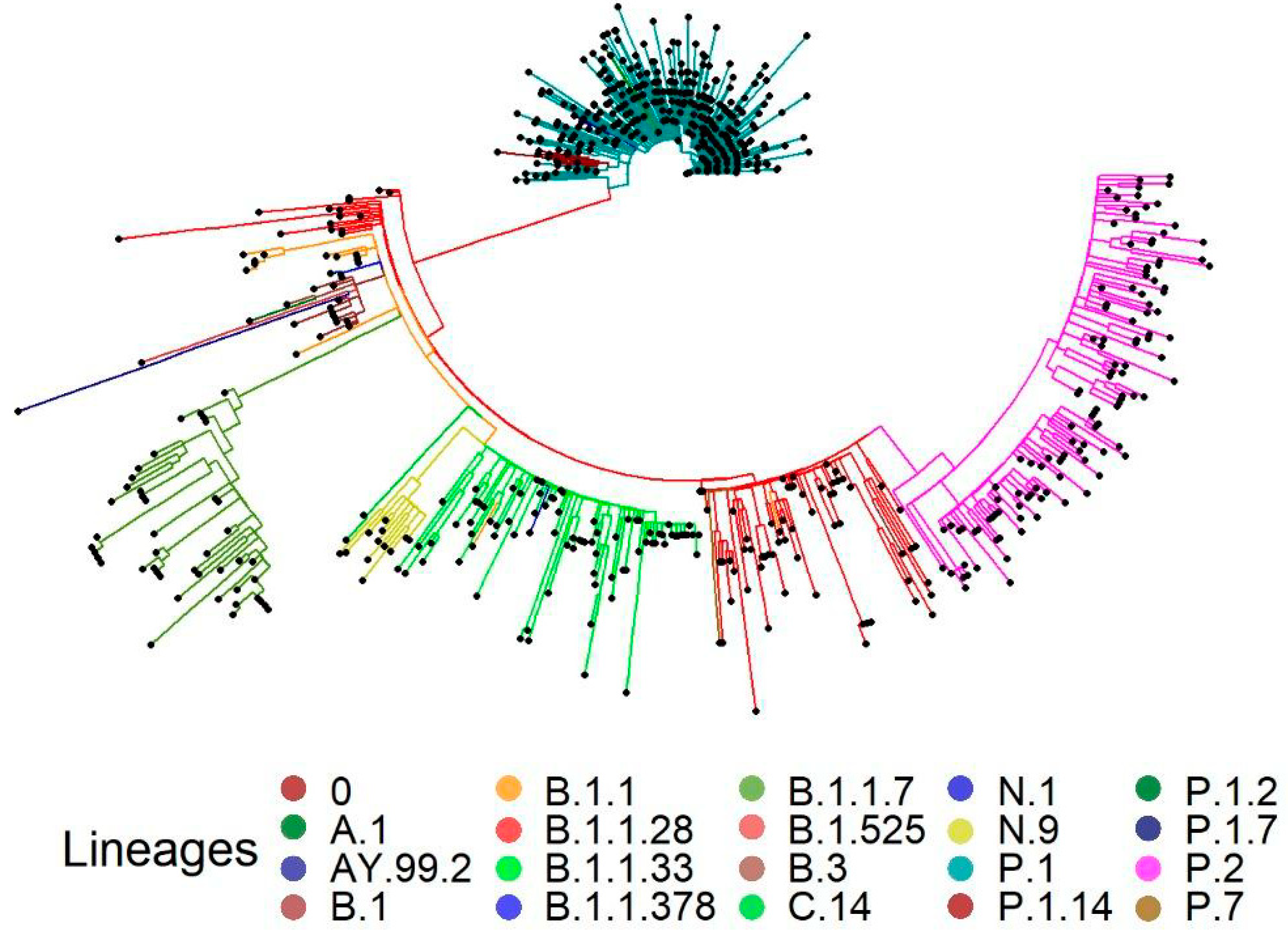 Covid 03 00047 g005 Covid 03 00047 g005