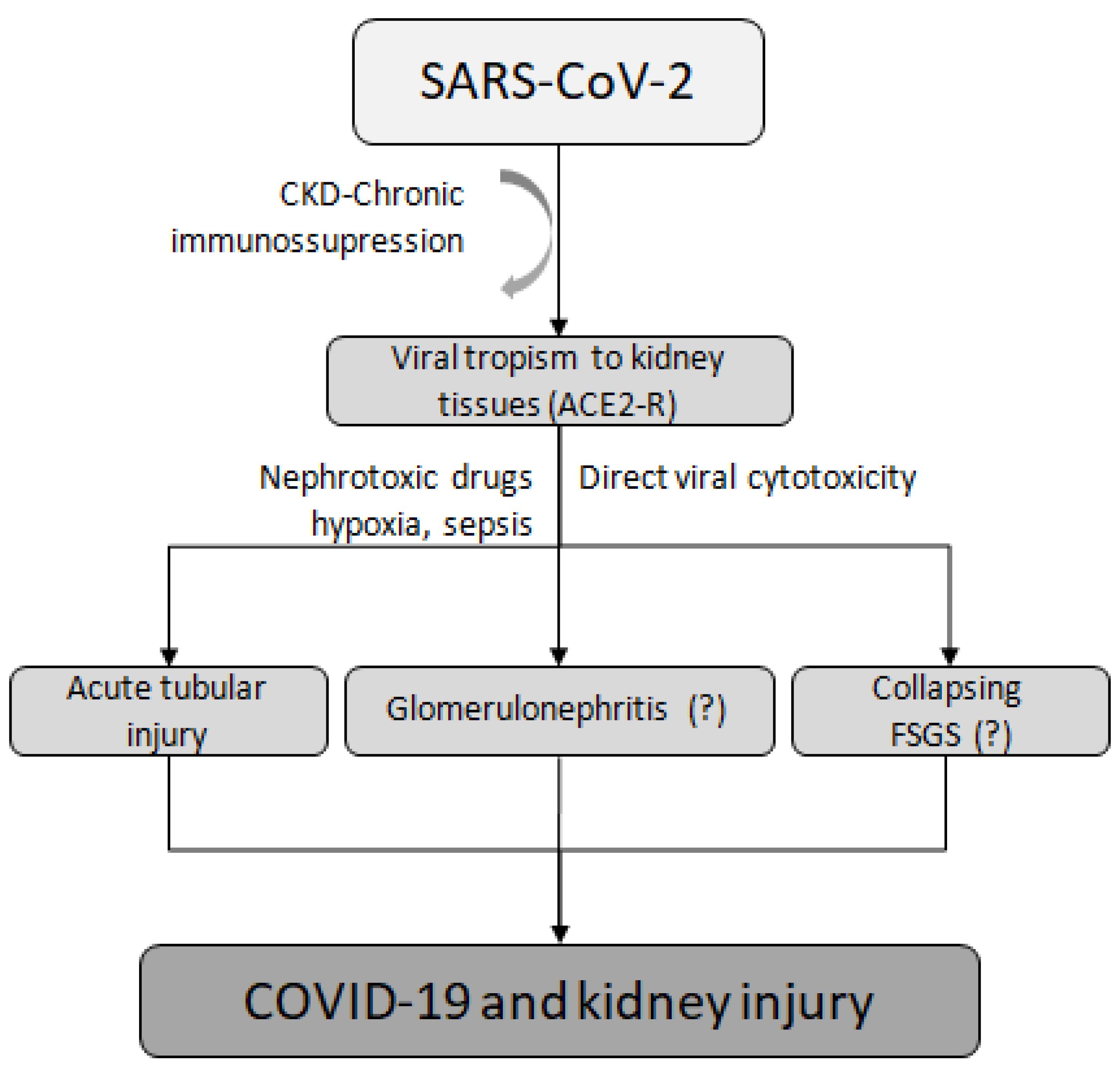 Covid 03 00080 g002 Covid 03 00080 g002