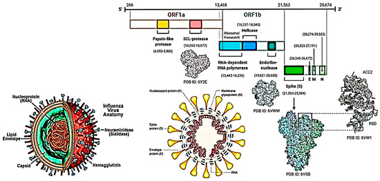 Biology and Behavior of Severe Acute Respiratory Syndrome