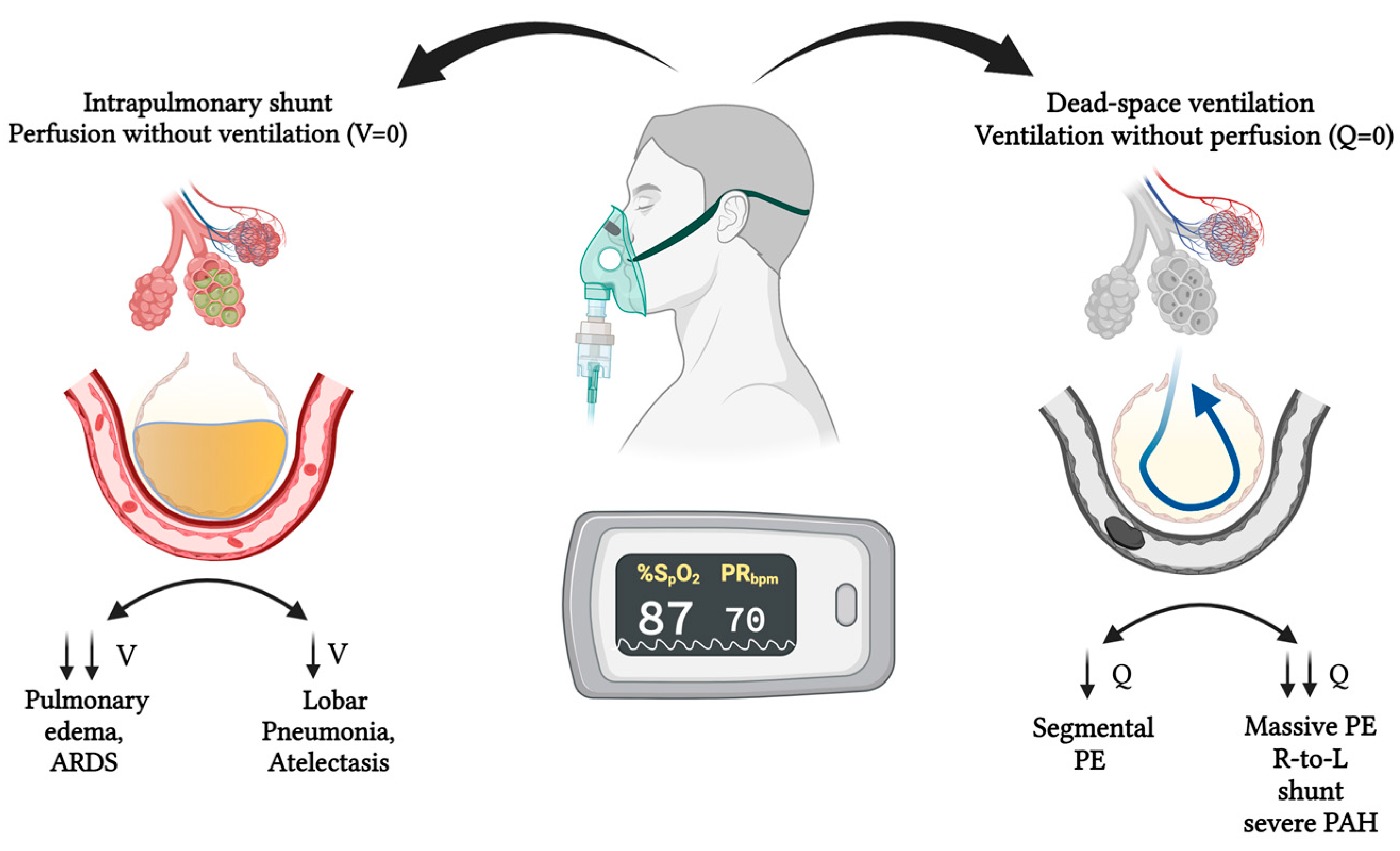 Covid 05 00139 g002 Covid 05 00139 g002