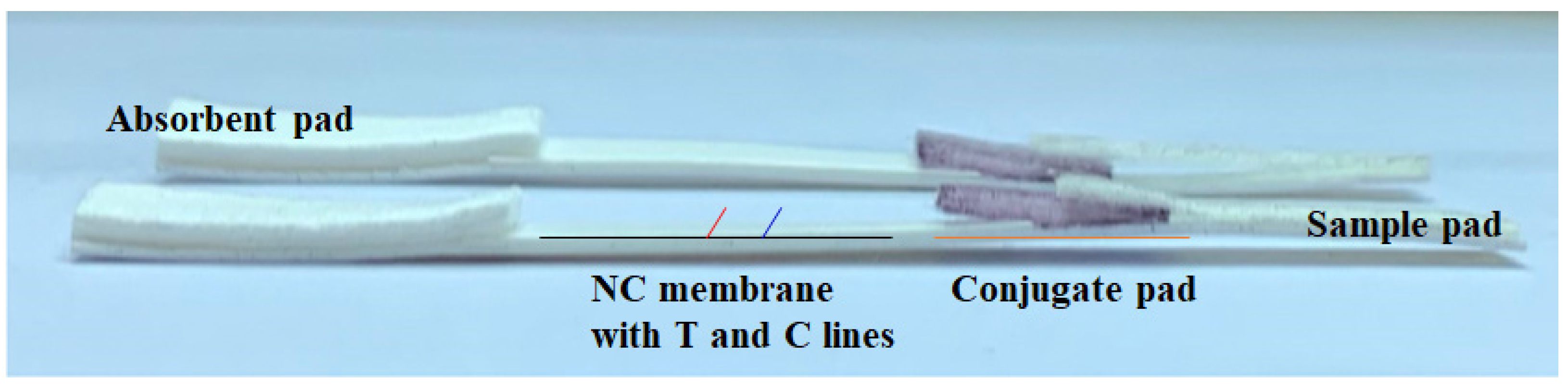 Covid 05 00158 g001 Covid 05 00158 g001