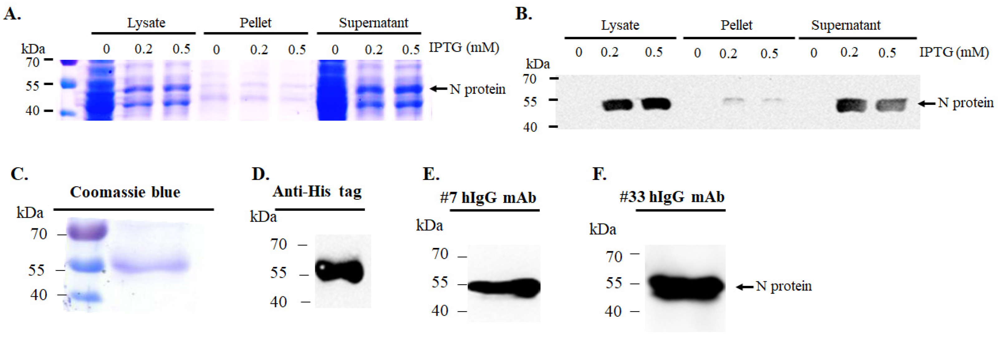 Covid 05 00158 g002 Covid 05 00158 g002