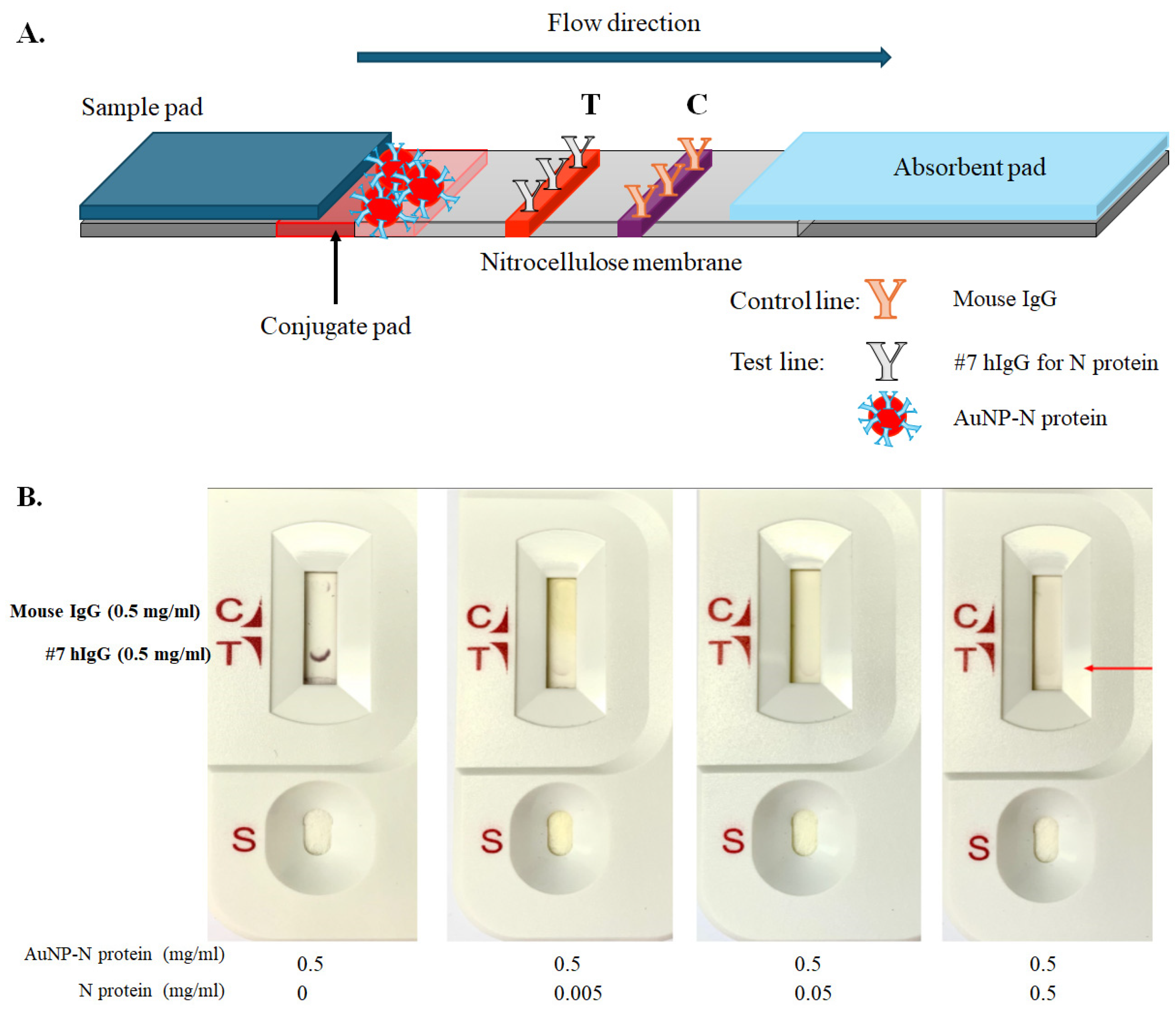 Covid 05 00158 g004 Covid 05 00158 g004