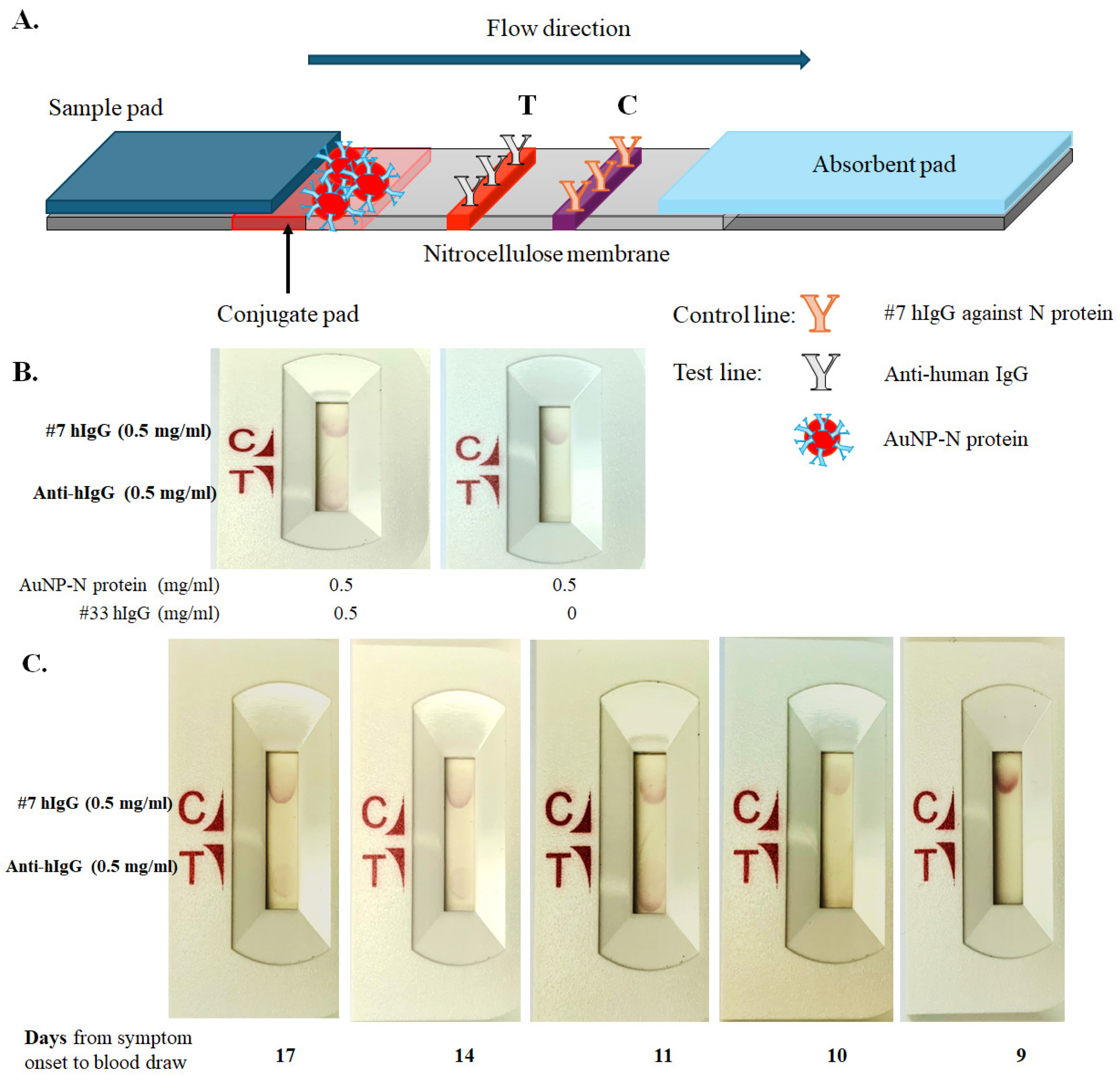 Covid 05 00158 g005 Covid 05 00158 g005