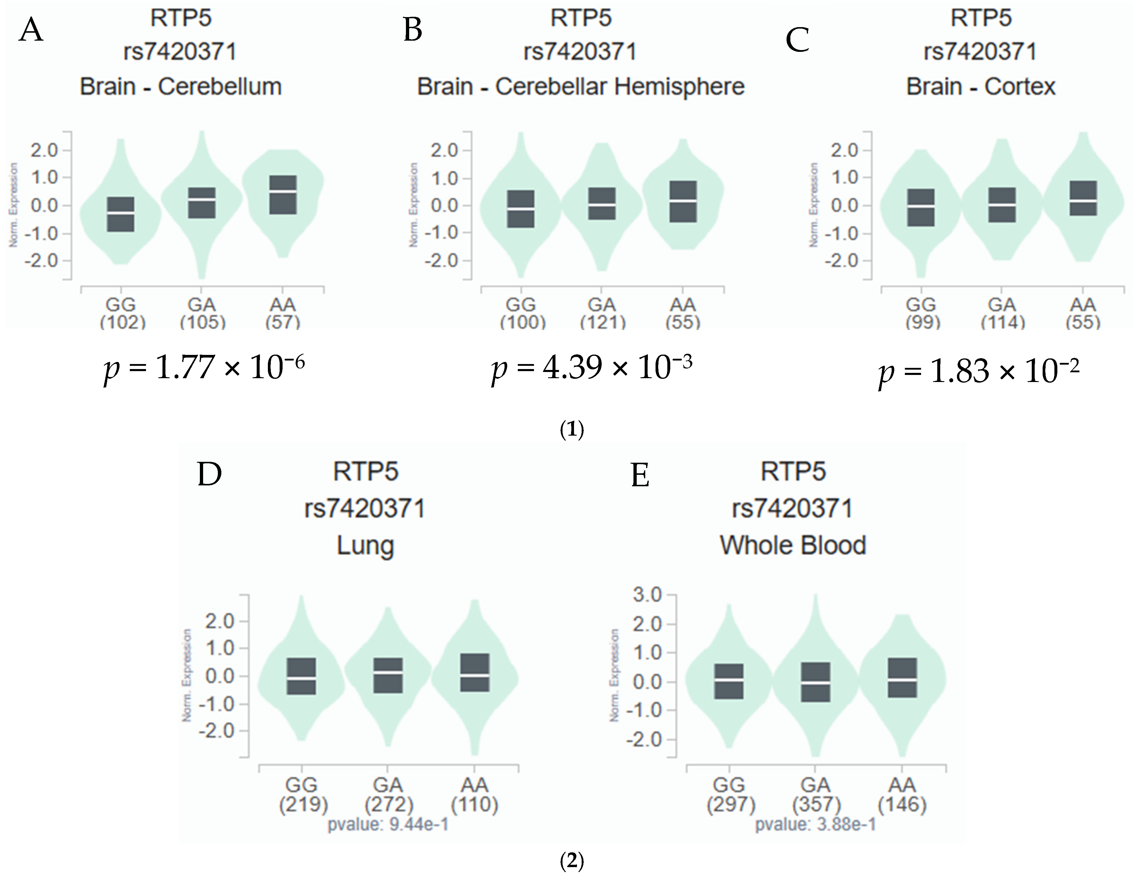 Covid 05 00206 g002 Covid 05 00206 g002