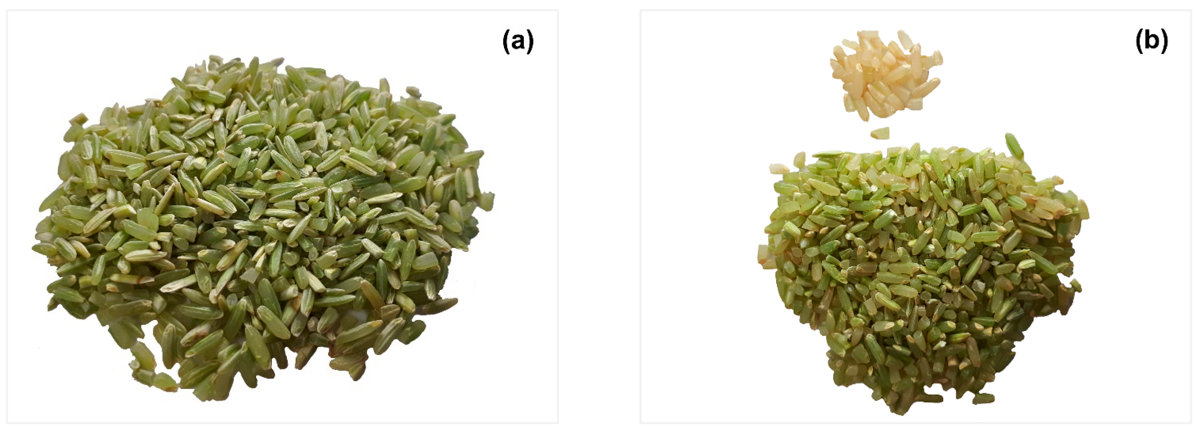 Crops 02 00003 g002a 550