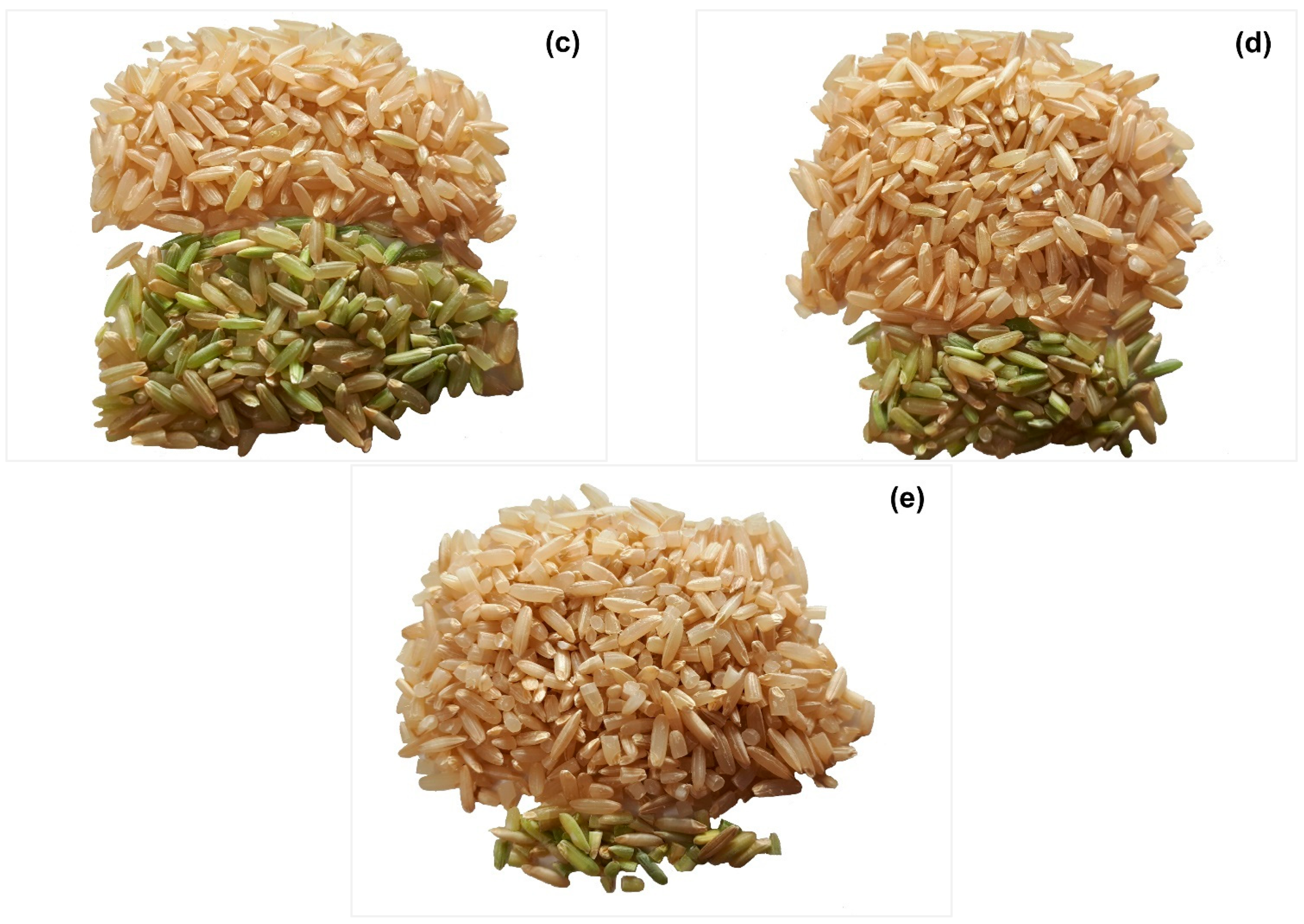 Crops 02 00003 g002b 550