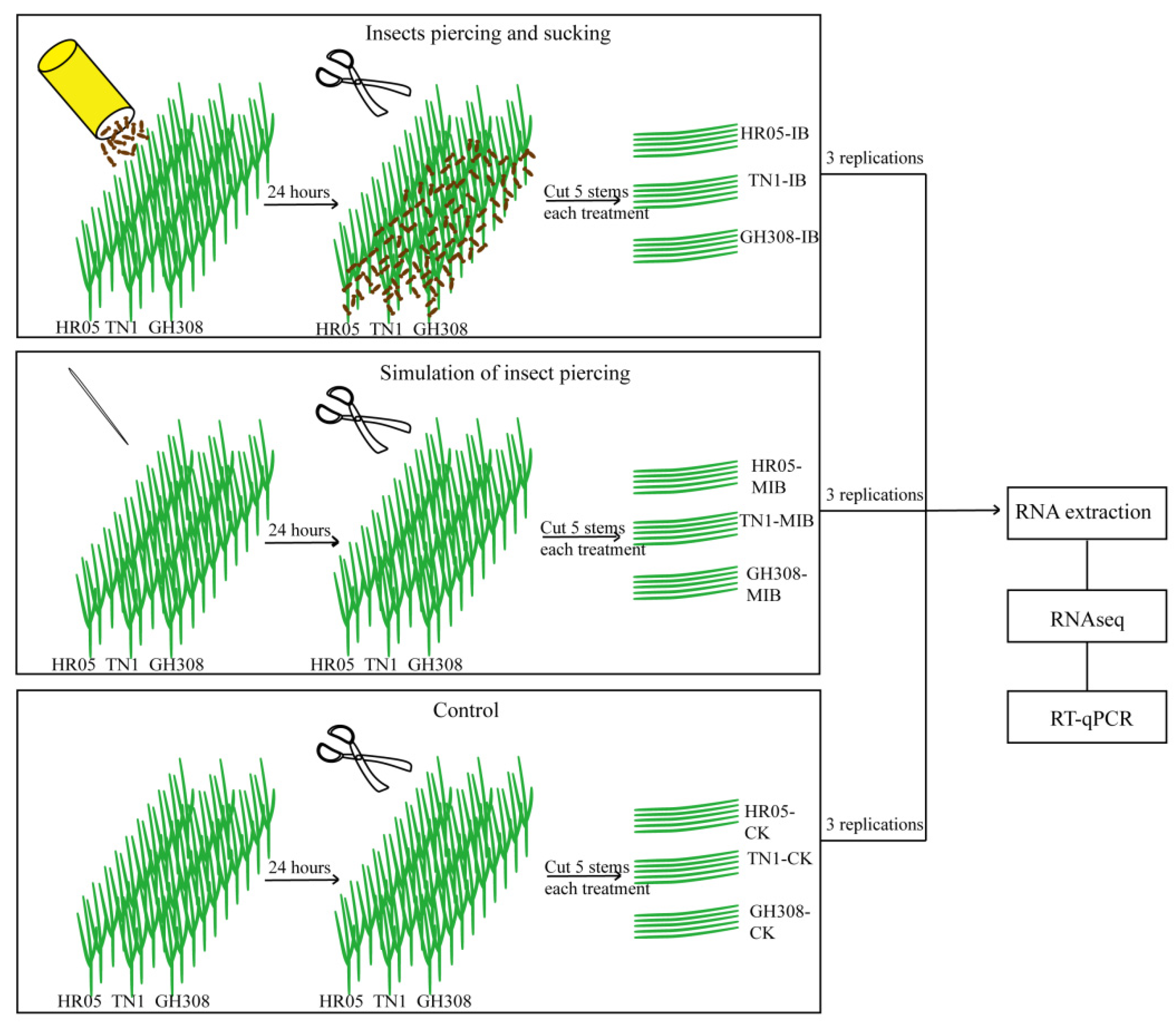Crops 03 00005 g001 Crops 03 00005 g001