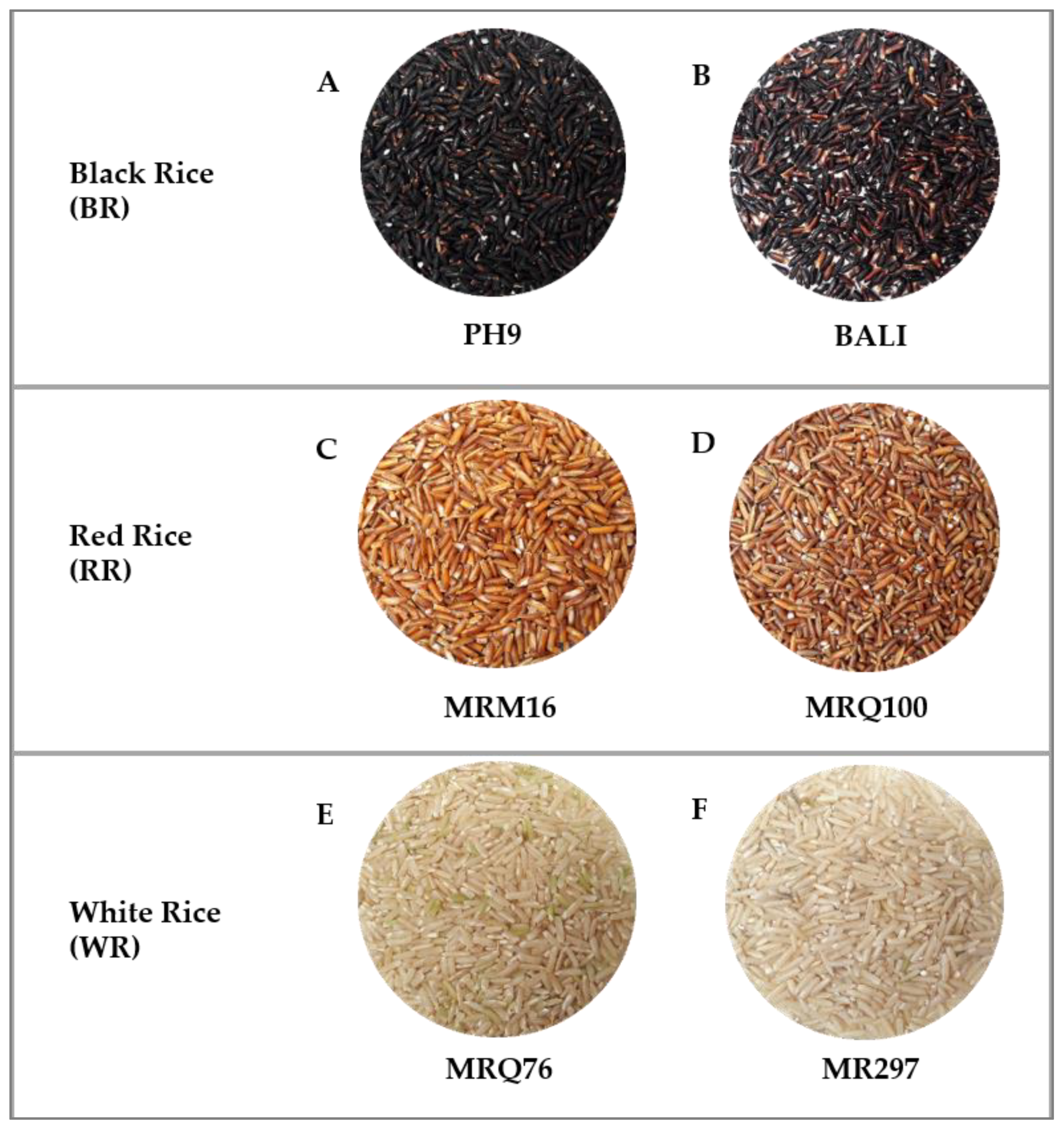 Crops 03 00007 g001 Crops 03 00007 g001