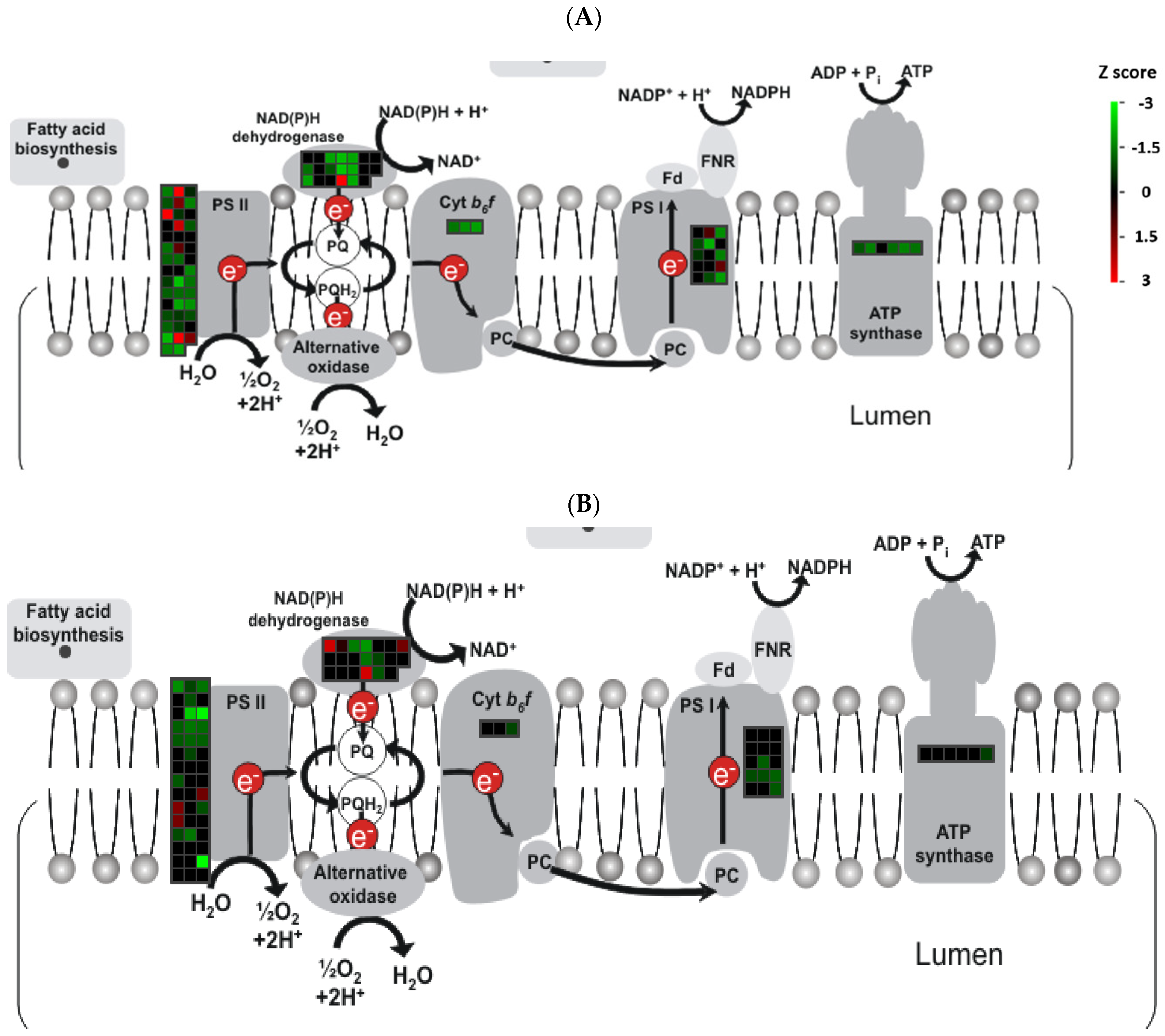 Crops 04 00025 g005a