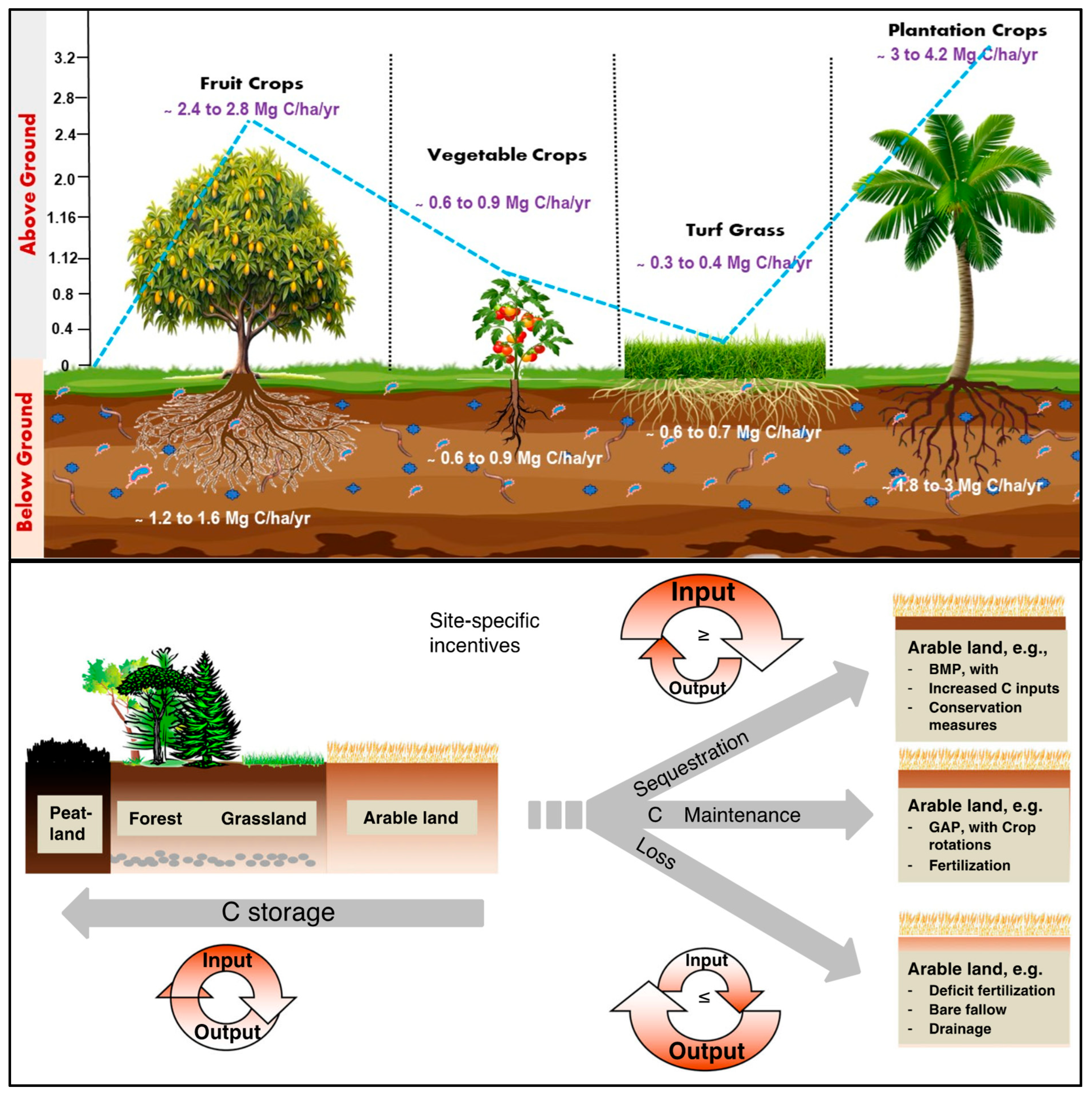 Crops 05 00039 g004 Crops 05 00039 g004