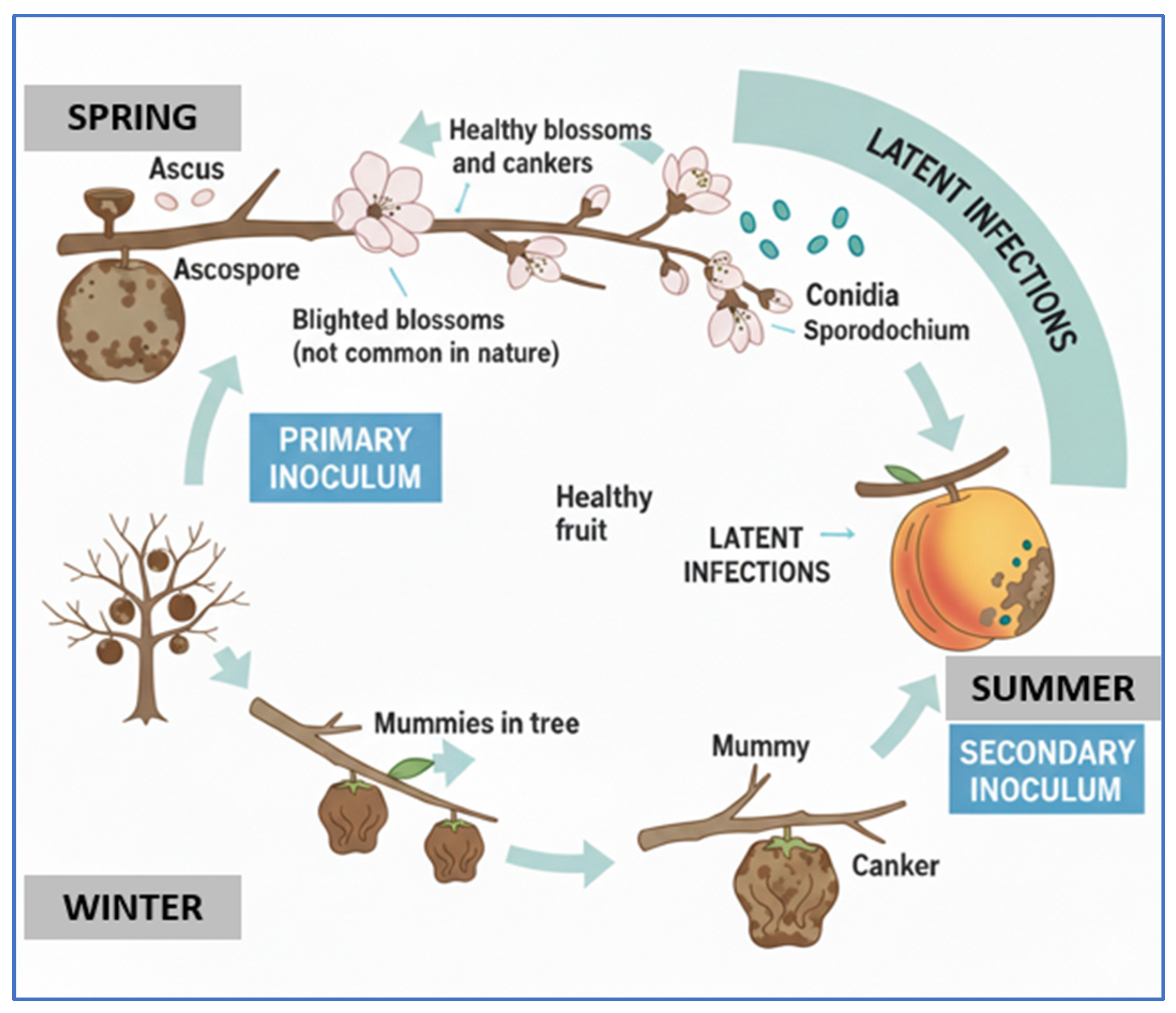 Crops 05 00084 g002 Crops 05 00084 g002