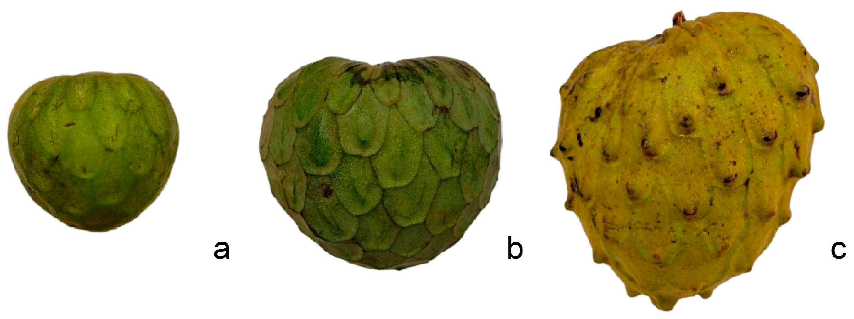 Crops 06 00007 g005 Crops 06 00007 g005