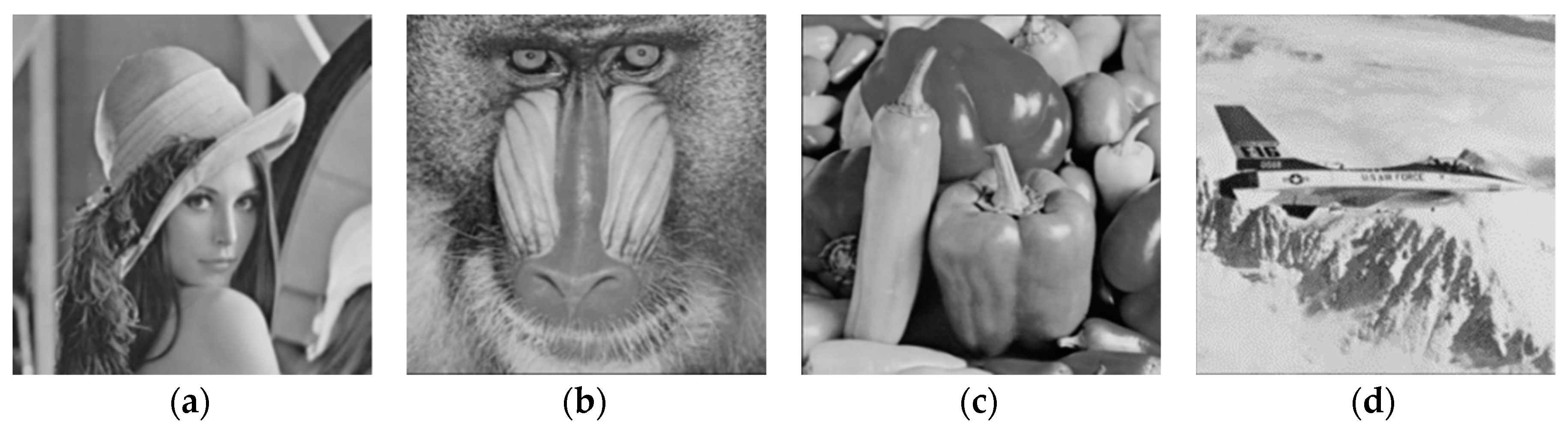 Cryptography 03 00013 g001 550