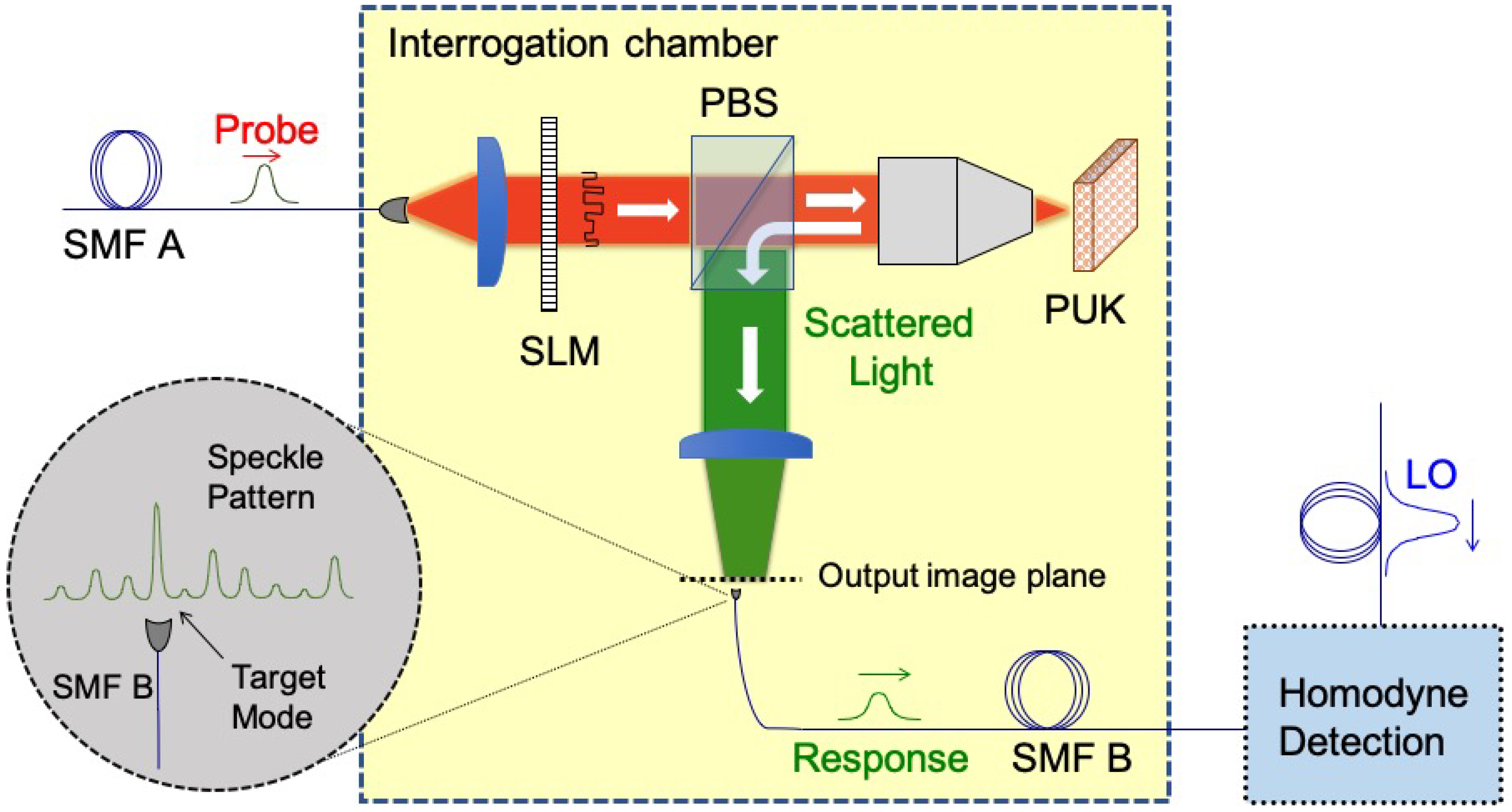 Cryptography 03 00025 g002