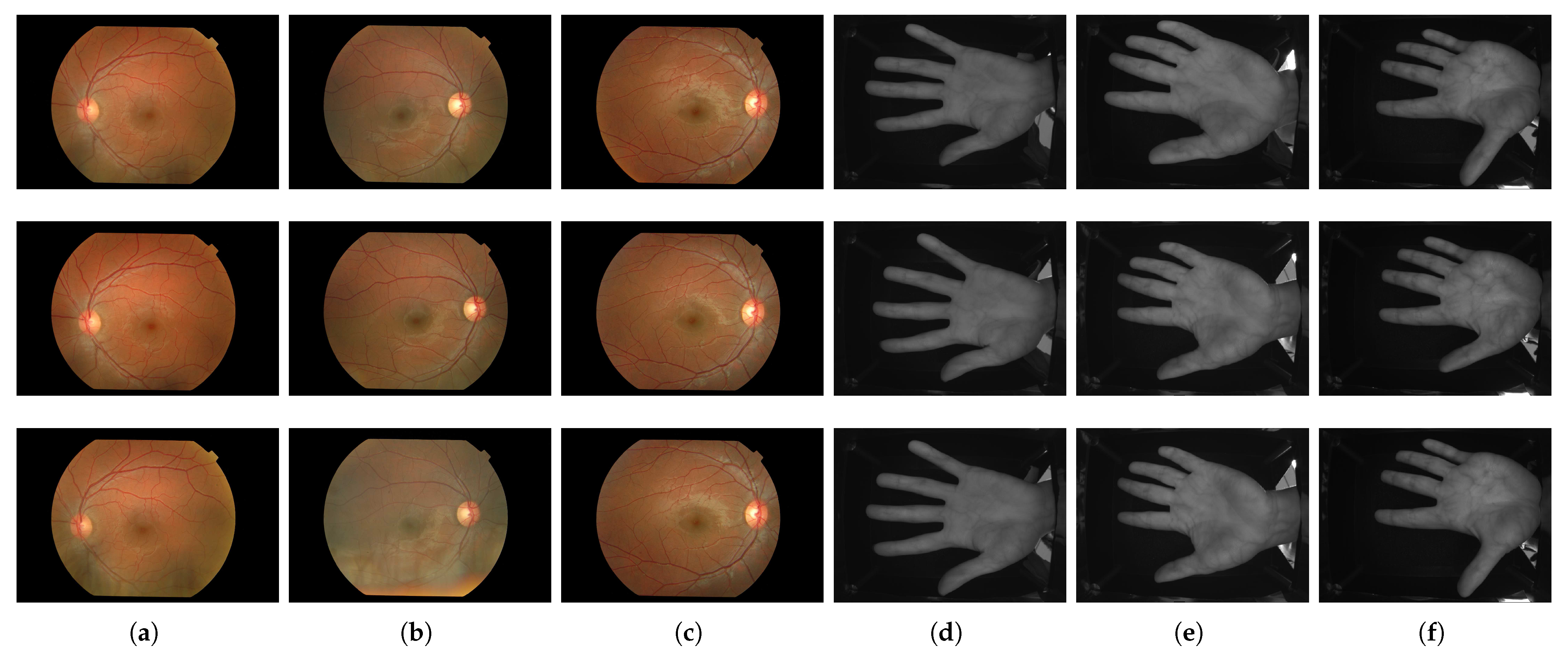 Cryptography 09 00072 g002