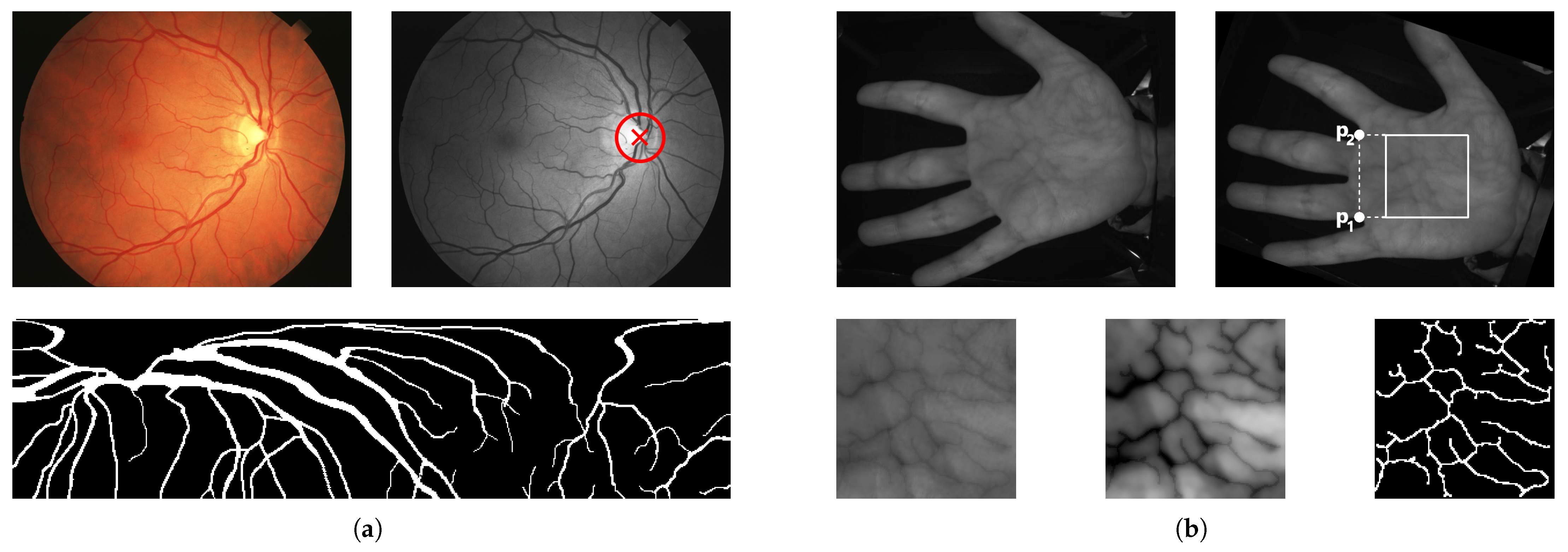 Cryptography 09 00072 g003
