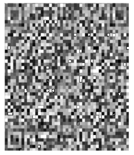 Cryptography 10 00004 i016