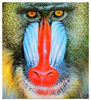 Cryptography 10 00004 i034