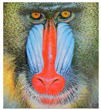 Cryptography 10 00004 i037