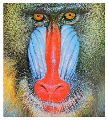 Cryptography 10 00004 i041