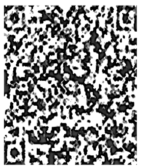 Cryptography 10 00004 i044