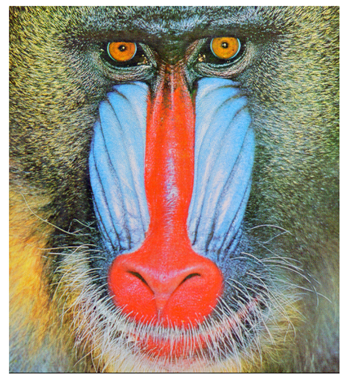 Cryptography 10 00004 i045