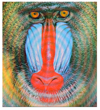 Cryptography 10 00004 i046