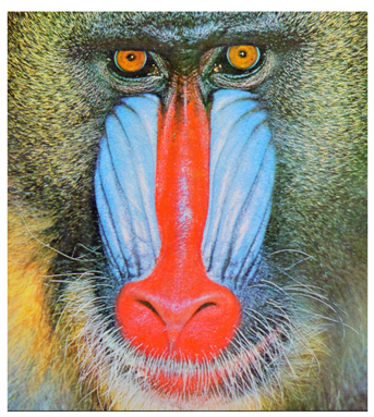 Cryptography 10 00004 i049