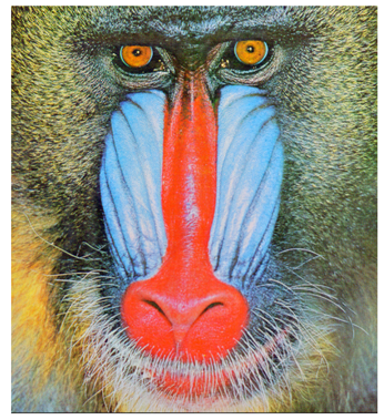 Cryptography 10 00004 i053