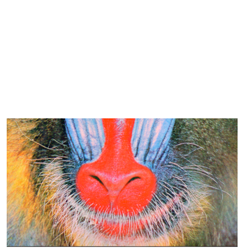 Cryptography 10 00004 i054