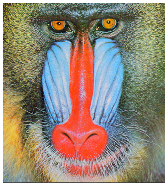 Cryptography 10 00004 i057