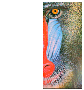 Cryptography 10 00004 i058