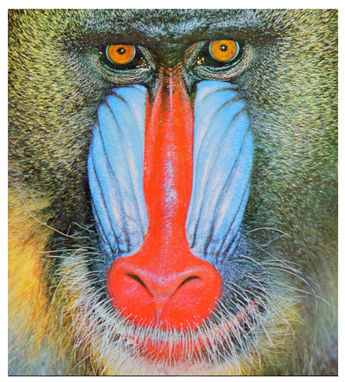 Cryptography 10 00004 i061