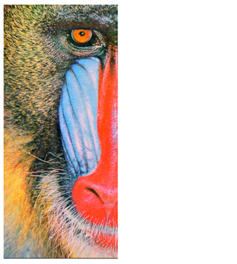 Cryptography 10 00004 i062