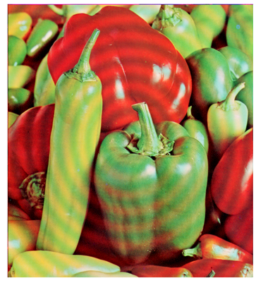 Cryptography 10 00004 i078