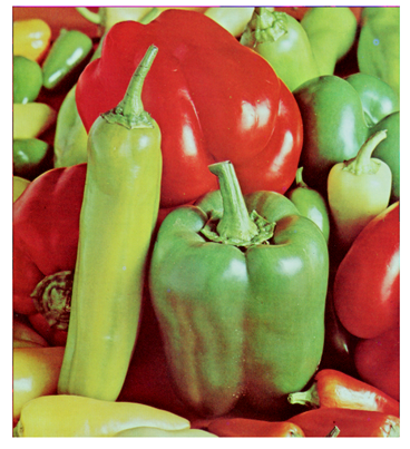 Cryptography 10 00004 i081