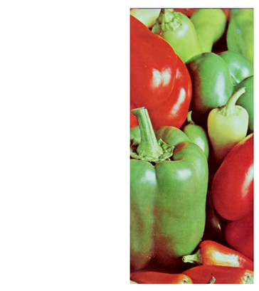 Cryptography 10 00004 i090