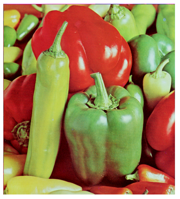 Cryptography 10 00004 i093