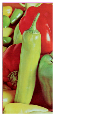 Cryptography 10 00004 i094