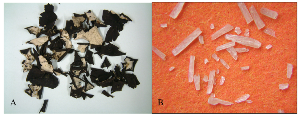 Crystals 01 00128f2 1024